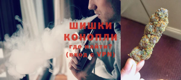 ГАЛЛЮЦИНОГЕННЫЕ ГРИБЫ Балабаново