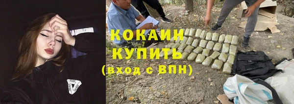 ГАЛЛЮЦИНОГЕННЫЕ ГРИБЫ Балабаново
