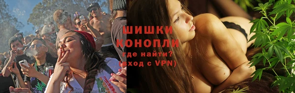 ГАЛЛЮЦИНОГЕННЫЕ ГРИБЫ Балабаново