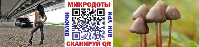 Псилоцибиновые грибы мухоморы  Корсаков 